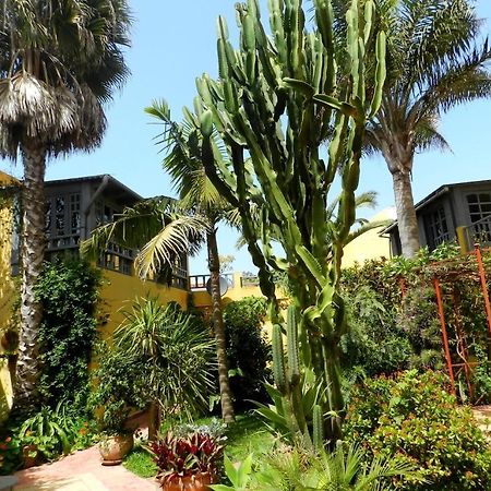 Dar Beldi Bed & Breakfast Oualidia Ngoại thất bức ảnh