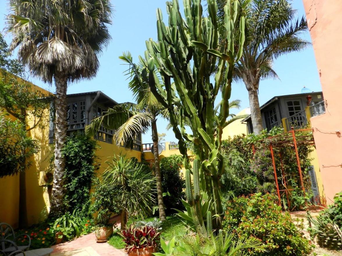 Dar Beldi Bed & Breakfast Oualidia Ngoại thất bức ảnh