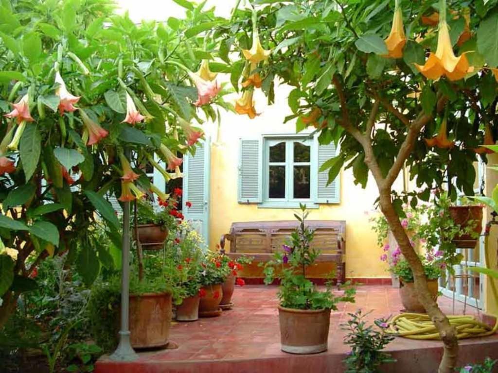 Dar Beldi Bed & Breakfast Oualidia Ngoại thất bức ảnh