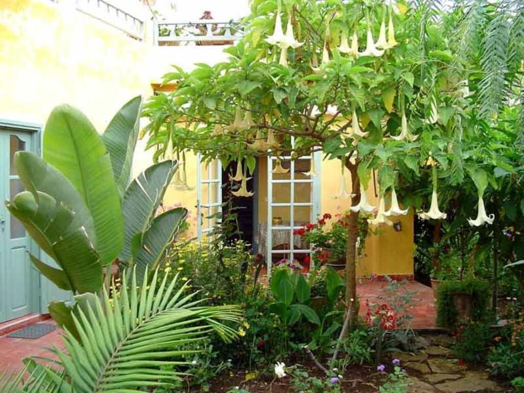 Dar Beldi Bed & Breakfast Oualidia Ngoại thất bức ảnh