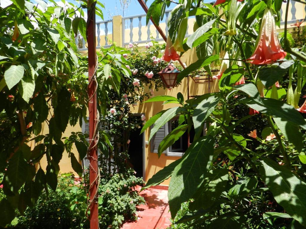 Dar Beldi Bed & Breakfast Oualidia Phòng bức ảnh